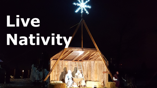 Live Nativity 510