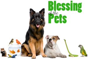 Pets Image