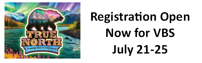 2025 VBS Home Page Image